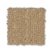 TUFTEX VIGNETTE CELEBRATION Collection