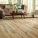 Shaw Epic Plus Reflections White Oak Timber Room Scene