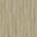 Raskin Acrylx Gencore Clinton Collection