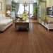 Lions Floor Fancy Nightingale Room Scene