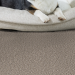 Shaw Floors Pet Perfect Remixed Classic Cobble Drive Room Scene