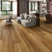 Toughlock Canyon Lands Room Scene