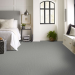 Shaw Floors Pet Perfect Shady Stroll Blue Sky Room Scene