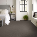 Shaw Floors Pet Perfect Skyline Shift Tree Bark Room Scene