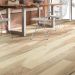 Shaw Epic Plus Northington Brushed Canopy Room Scene