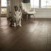 Anderson Hardwood Unleashed Buckingham Wales Room Scene