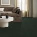 Tuftex Vignette Deep Pine Room Scene