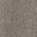SHAW FLOORS PET PERFECT SILVER CLOUD Collection