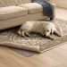 Mohawk Rug Pad- Pet Friendly Pet Proof Rug Pad Grey Room Scene