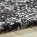 Nourison Home Twilight Onyx 7'9" x 9'9" Room Scene