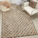 Nourison Home Deco Mod Black/Beige 5'3" x 7'4" Room Scene