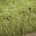 Nourison Home Studio Peridot 7'6" x 9'6" Room Scene
