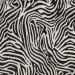 Zebra-Ax Black
