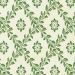 Evergreen on White