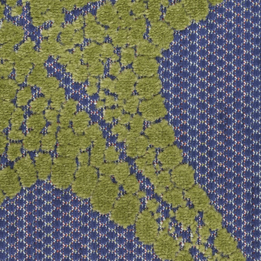 61S2qlMWh6L._AC_SX679_