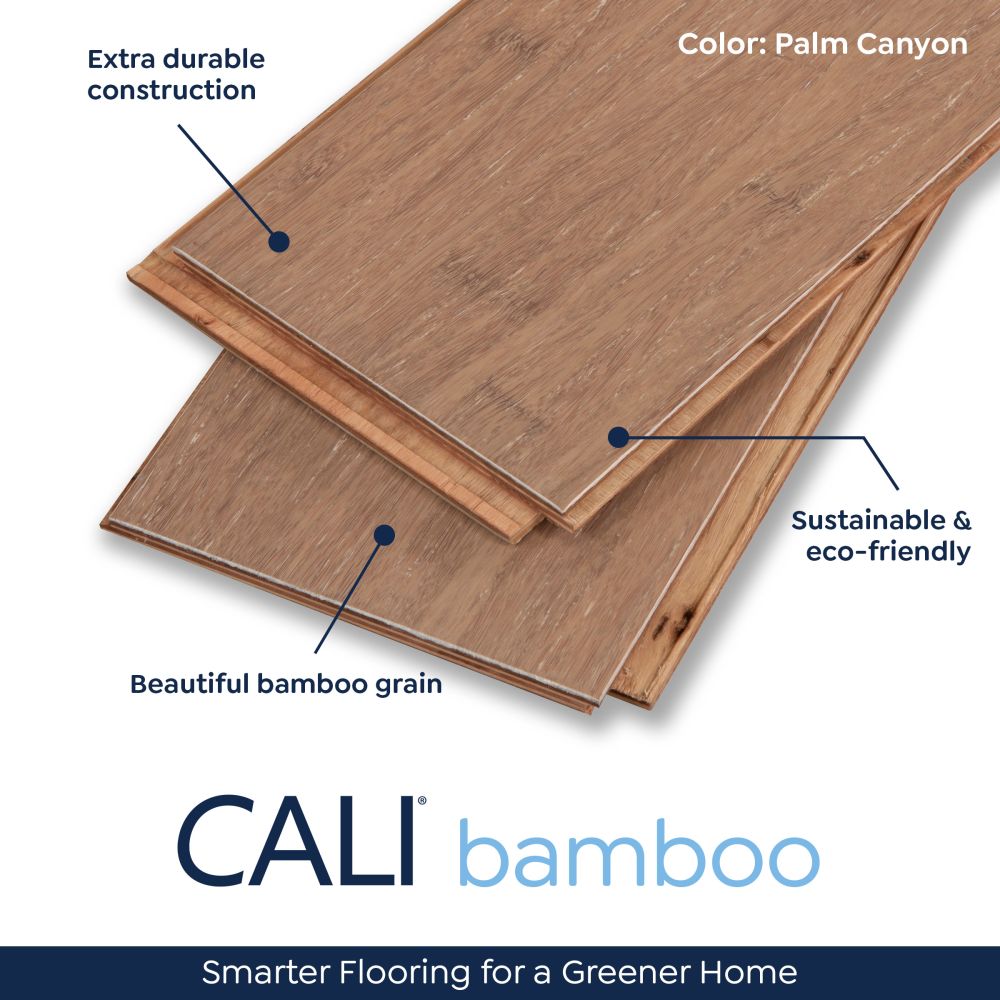 Cali Bamboo Palm Canyon 7014009500