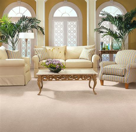 Fabrica Seduction in Cayenne 215SD-SD41