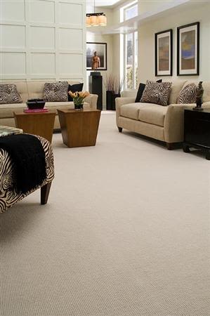 Fabrica Paragon Powder Puff 750PR-PR04