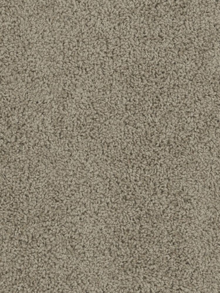 Dream Weaver Sensational Rye 7450_672