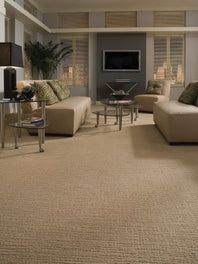 Fabrica Saba in Plush 302SB-SB02