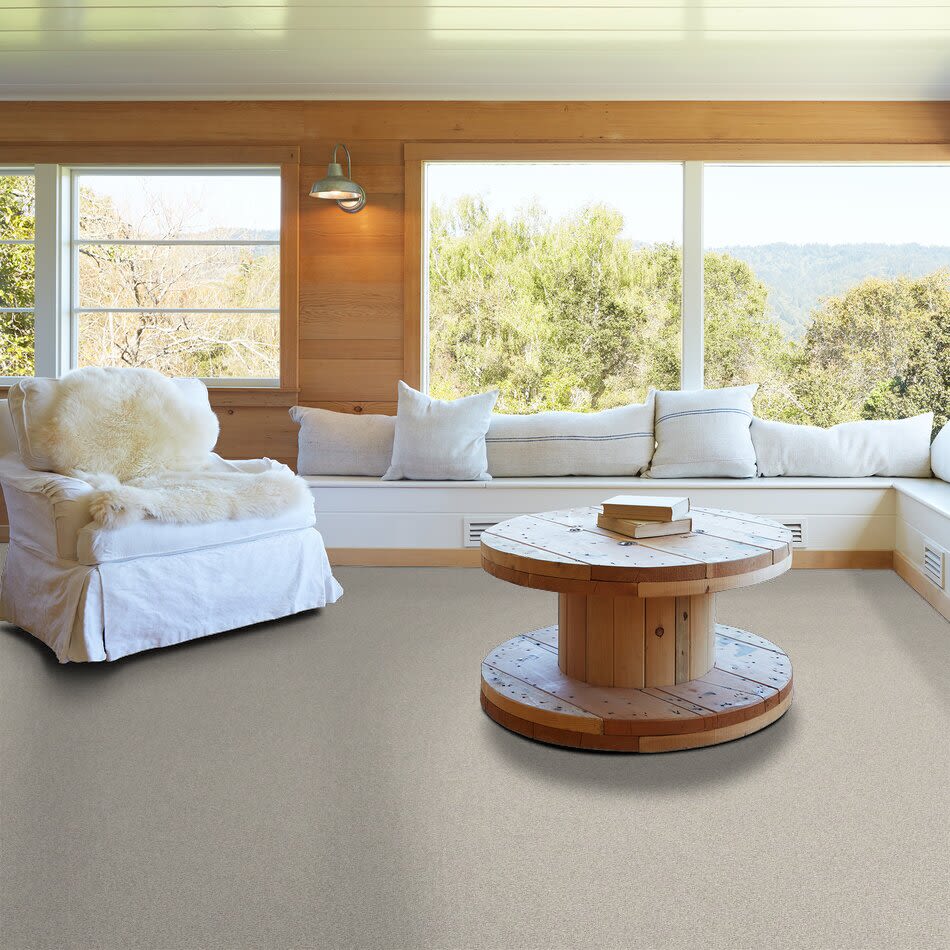 Shady Canyon Lasting Luxury  OYSTER SHELL LL_00152_Z6786