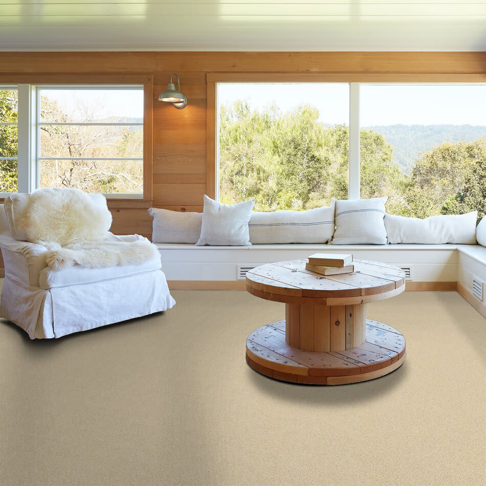 Hudson Falls Lasting Luxury  GENTLE YELLOW LL_00222_ZZ014