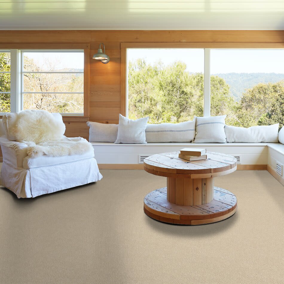 Serenity Cove Lasting Luxury  WINDSWEPT LL_00222_ZZ060