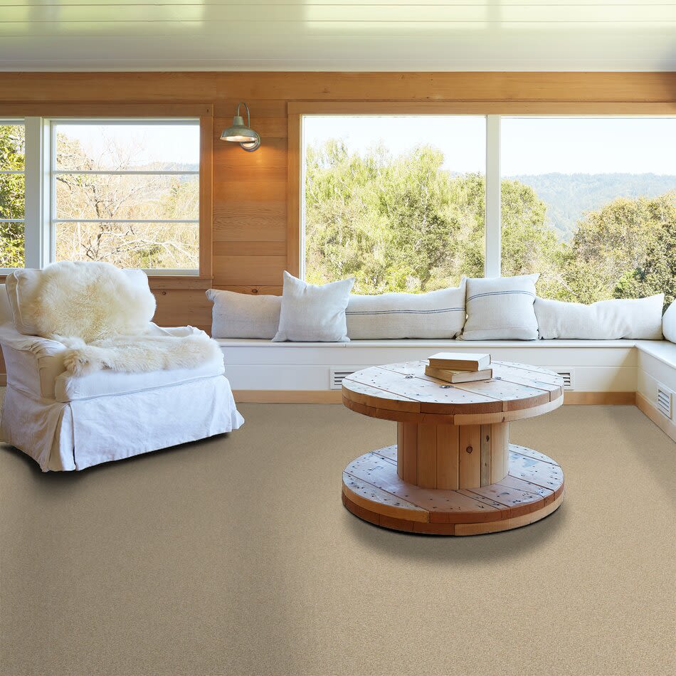 Shady Canyon Lasting Luxury  CORNSILK LL_00232_Z6786