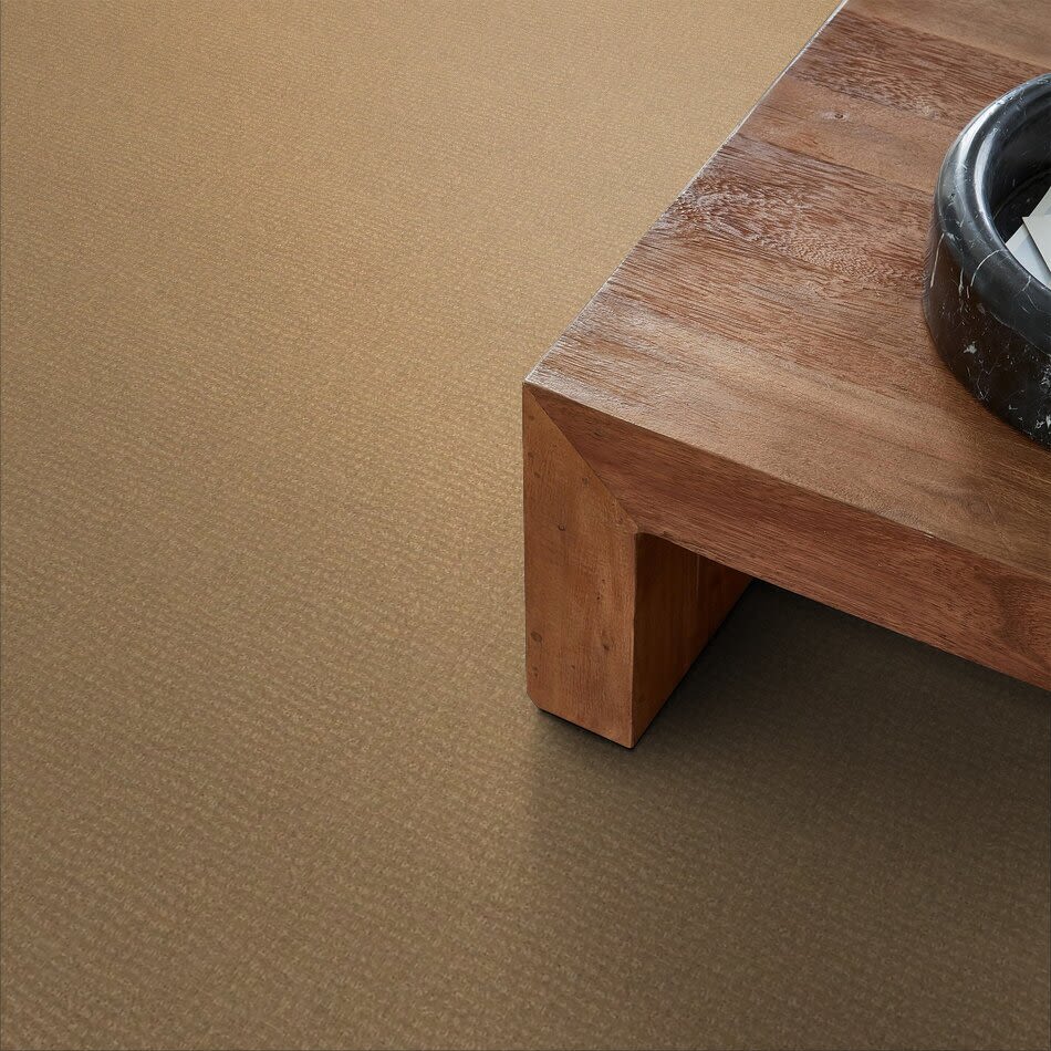 New Vibe Lasting Luxury  AMBER LL_00270_Z6957