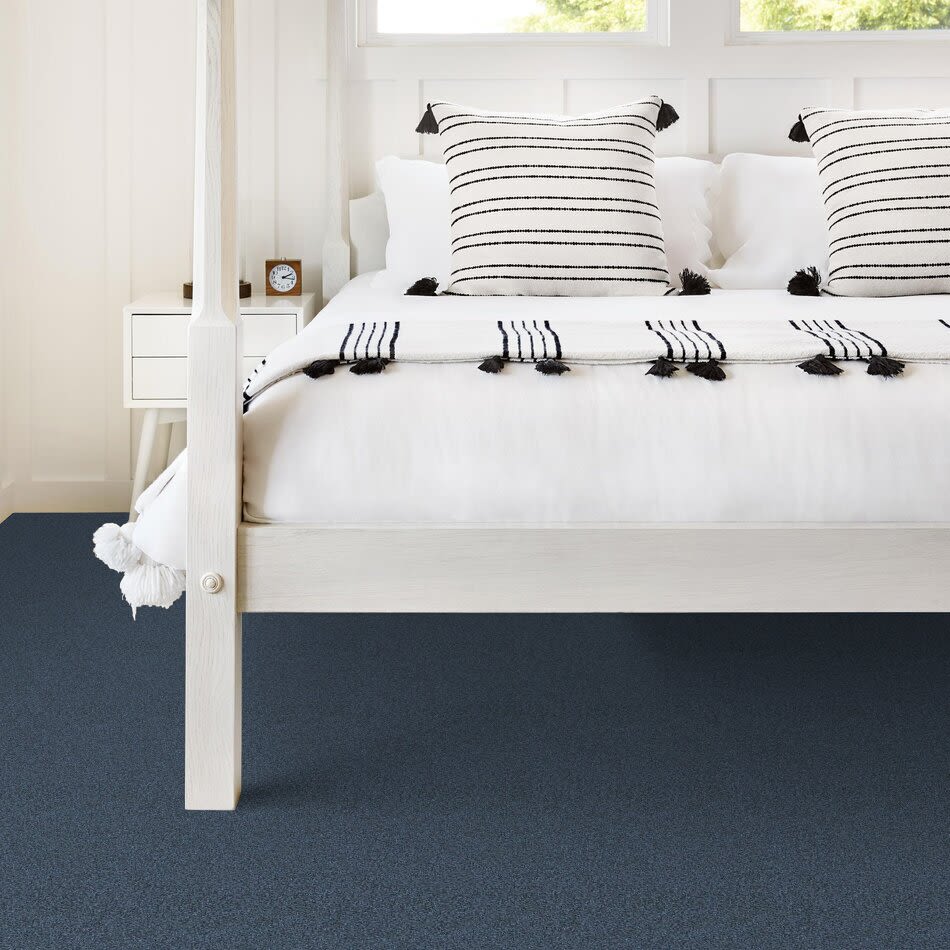 Shady Canyon Lasting Luxury  CORNFLOWER BLUE LL_00447_Z6786