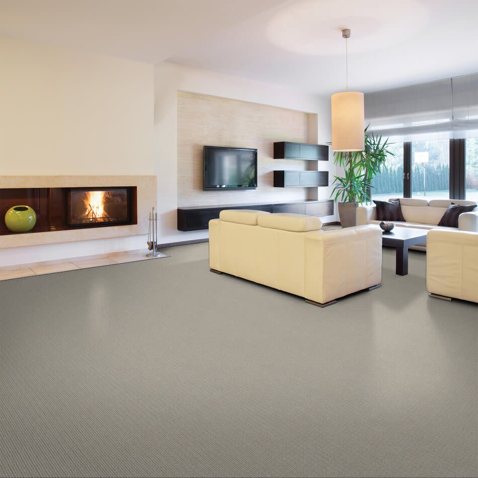 By Chance Lasting Luxury  GRAY WHISPER LL_00515_Z6882