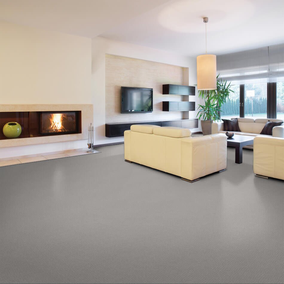 New Vibe Lasting Luxury  GRAY TINT LL_00532_Z6957