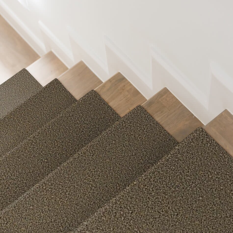 Venecia II Lasting Luxury  TAUPE LL_00728_ZZ004