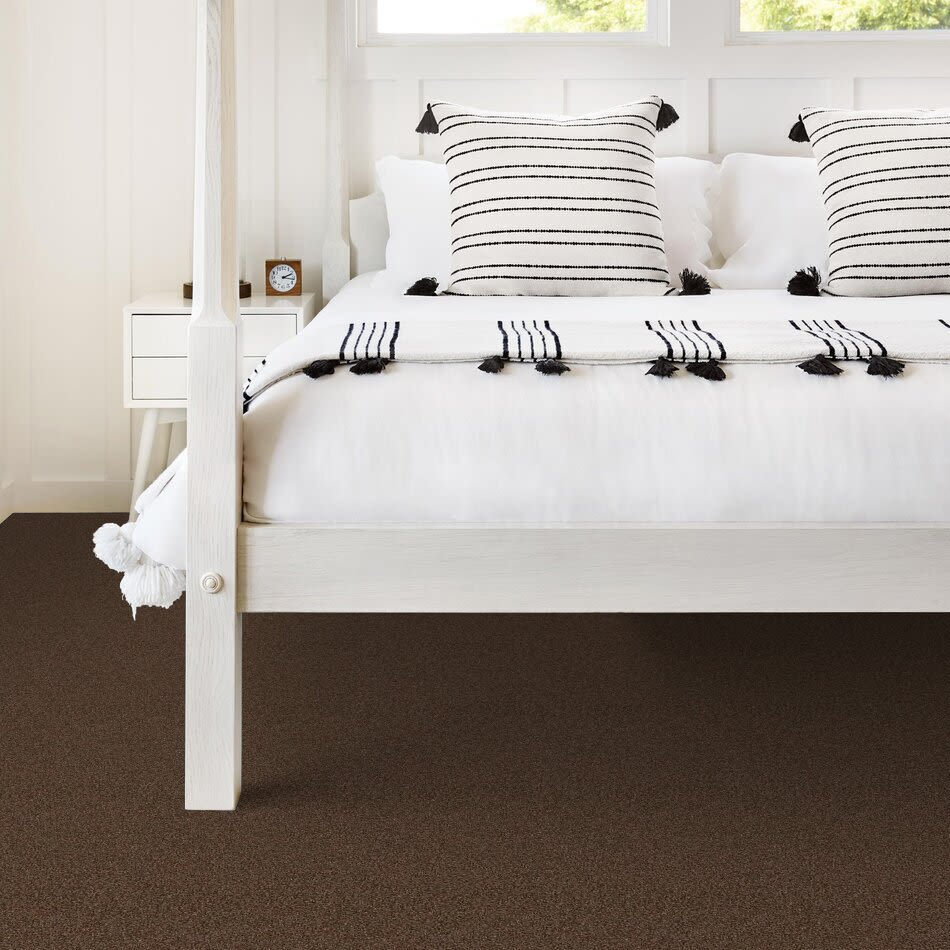 Hudson Falls Lasting Luxury  TRUFFLE LL_00738_ZZ014