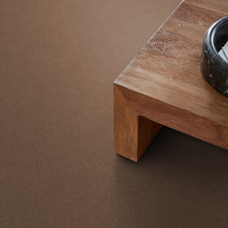 Second Glance Lasting Luxury  MYSTIC BROWN LL_00775_ZZ058