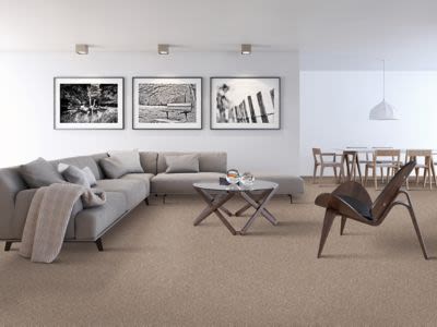 Stonington Manor II Lasting Luxury  Natural Grain LL_2P01-507