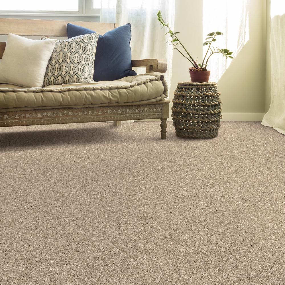 Perfect Home Style Statements Indispensable Winter Wheat 303CP-224