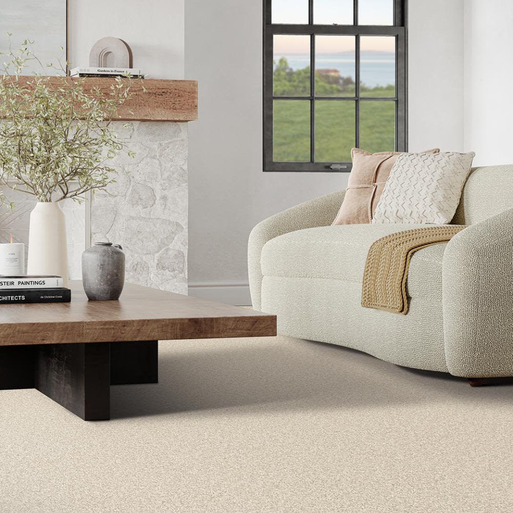 Perfect Home Casual Comforts Comfort Zone I Steam CP183-93211