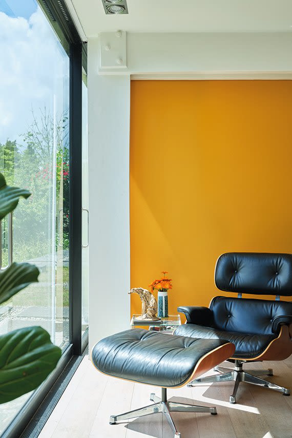 Farrow And Ball Colour By Nature Dutch Orange 5029496001068