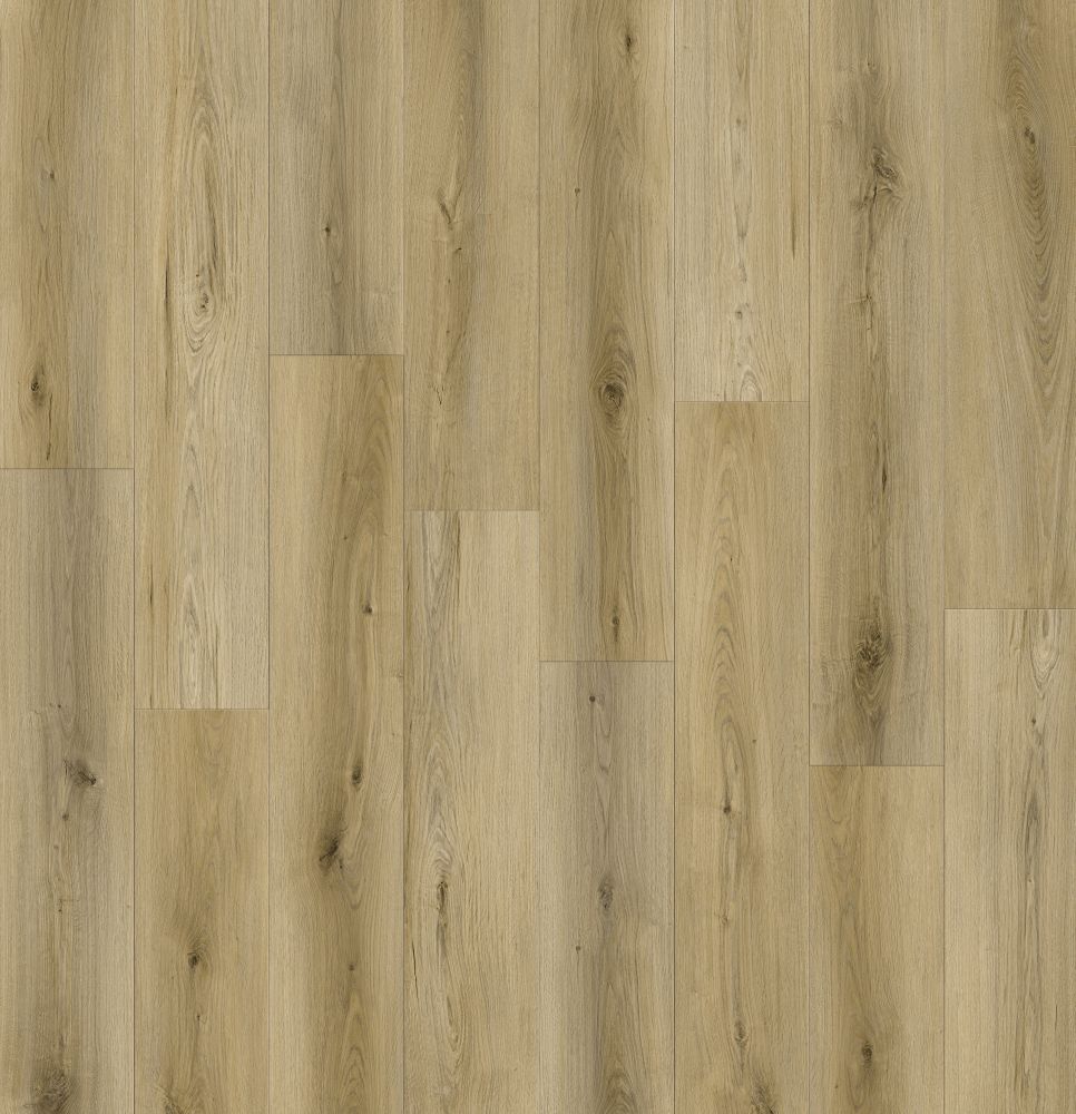 Lions Floor Canyon Coast Mountain Mist LI-CC04