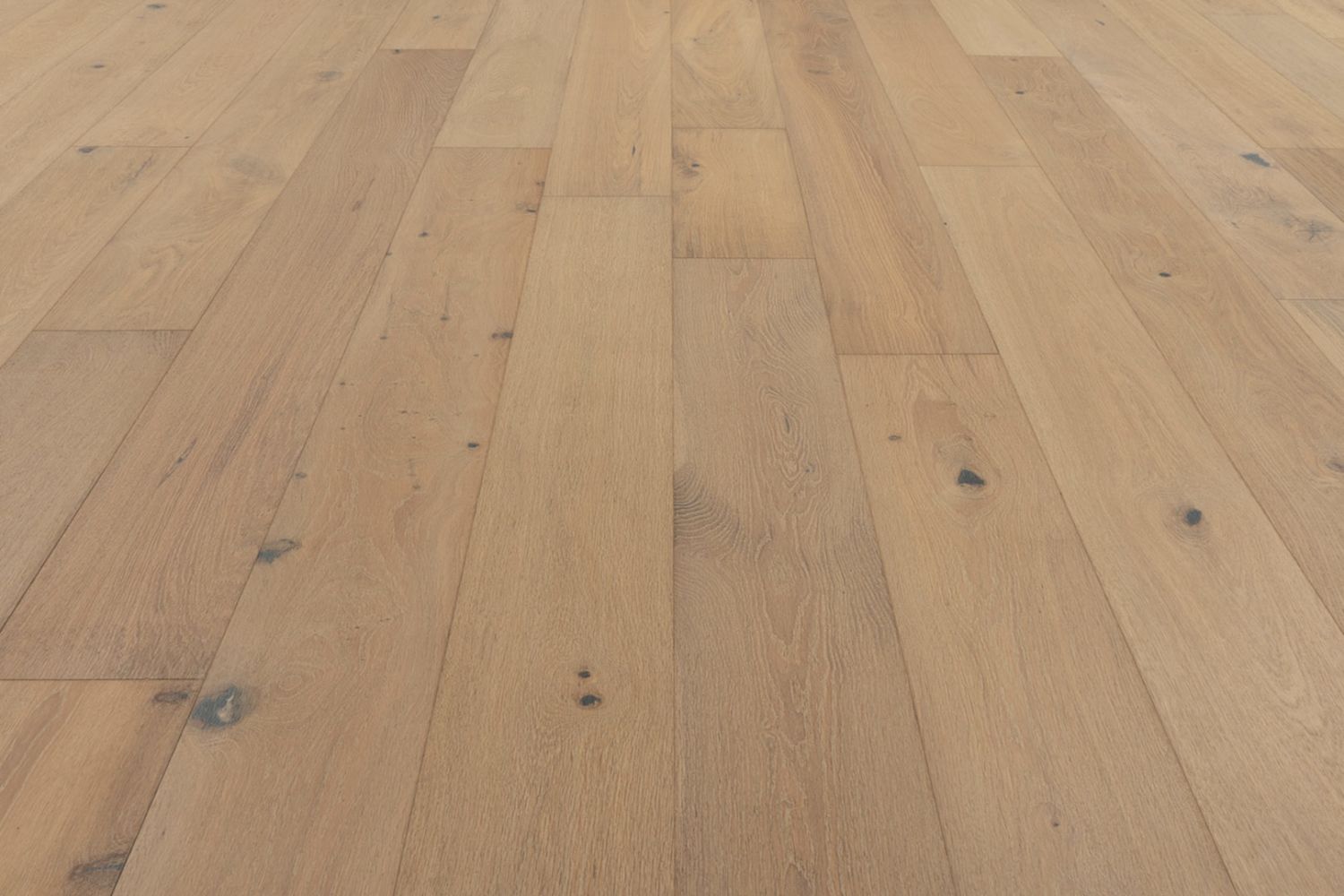 Provenza Affinity Collection Liberation PRO2304