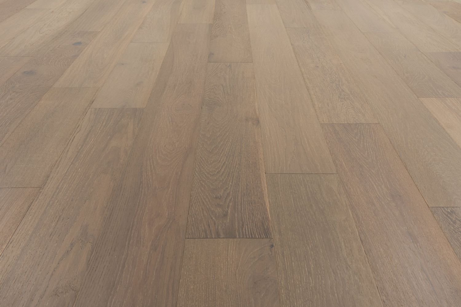 Provenza Affinity Collection Obsession PRO2306