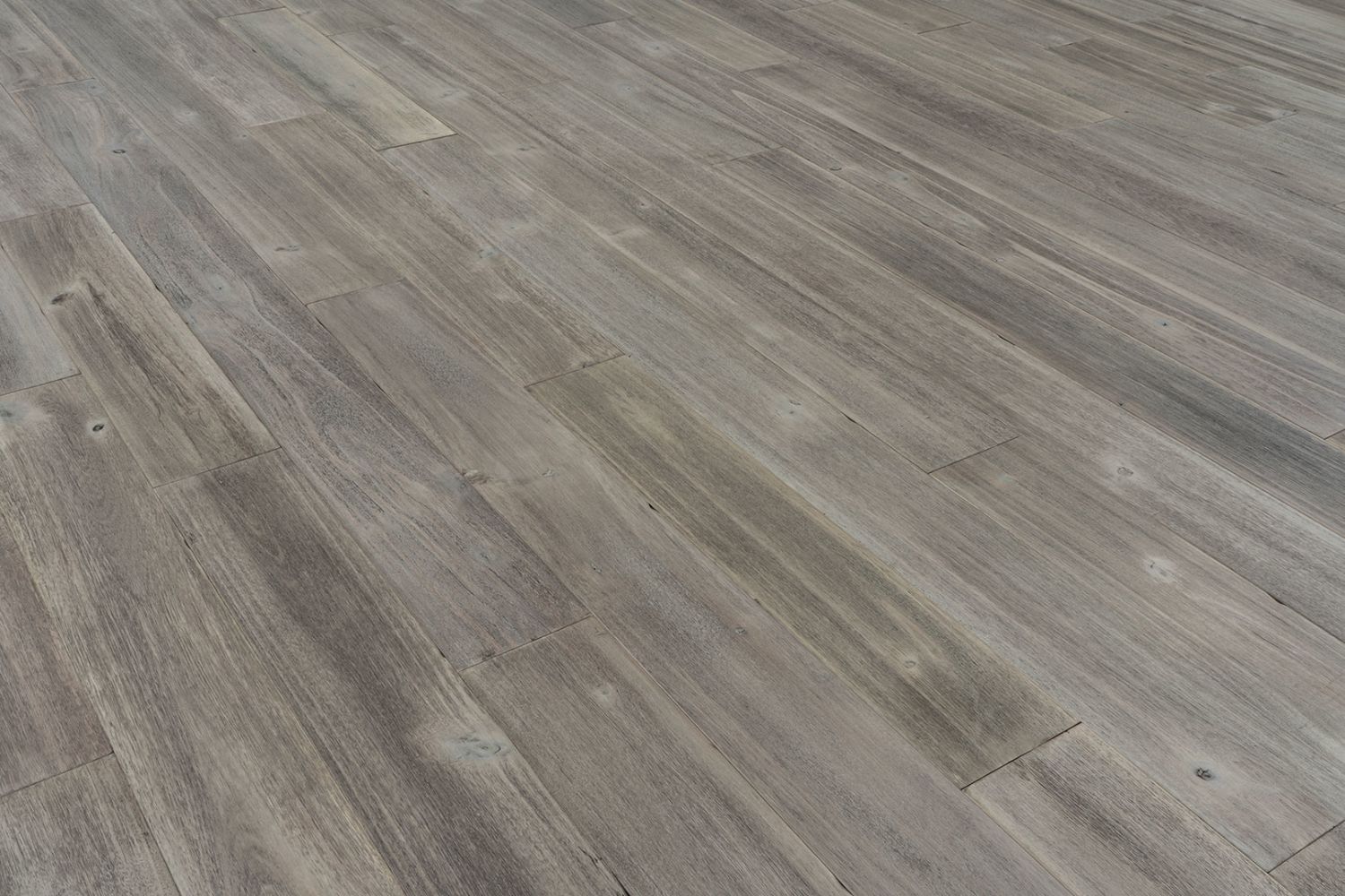 Provenza Modern Rustic Collection Sand Dollar PRO1407