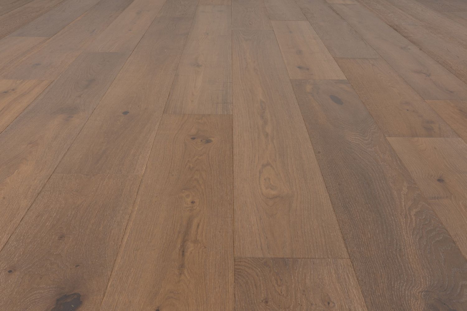 Provenza Tresor Collection Symphonie PRO2507