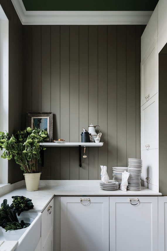 Farrow And Ball Current Palette Treron 5029496879216