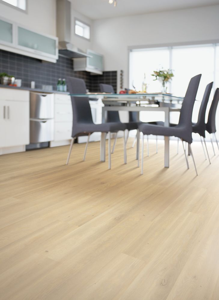 Portico Revwood Premier Miramar Reef Palm Tree Oak 33609-2
