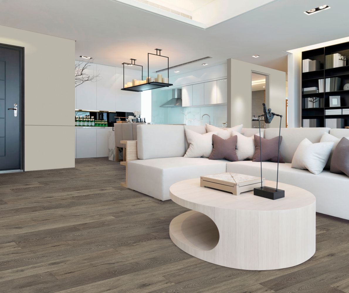 Portico Elements Originals Accedence Aster 37001-2