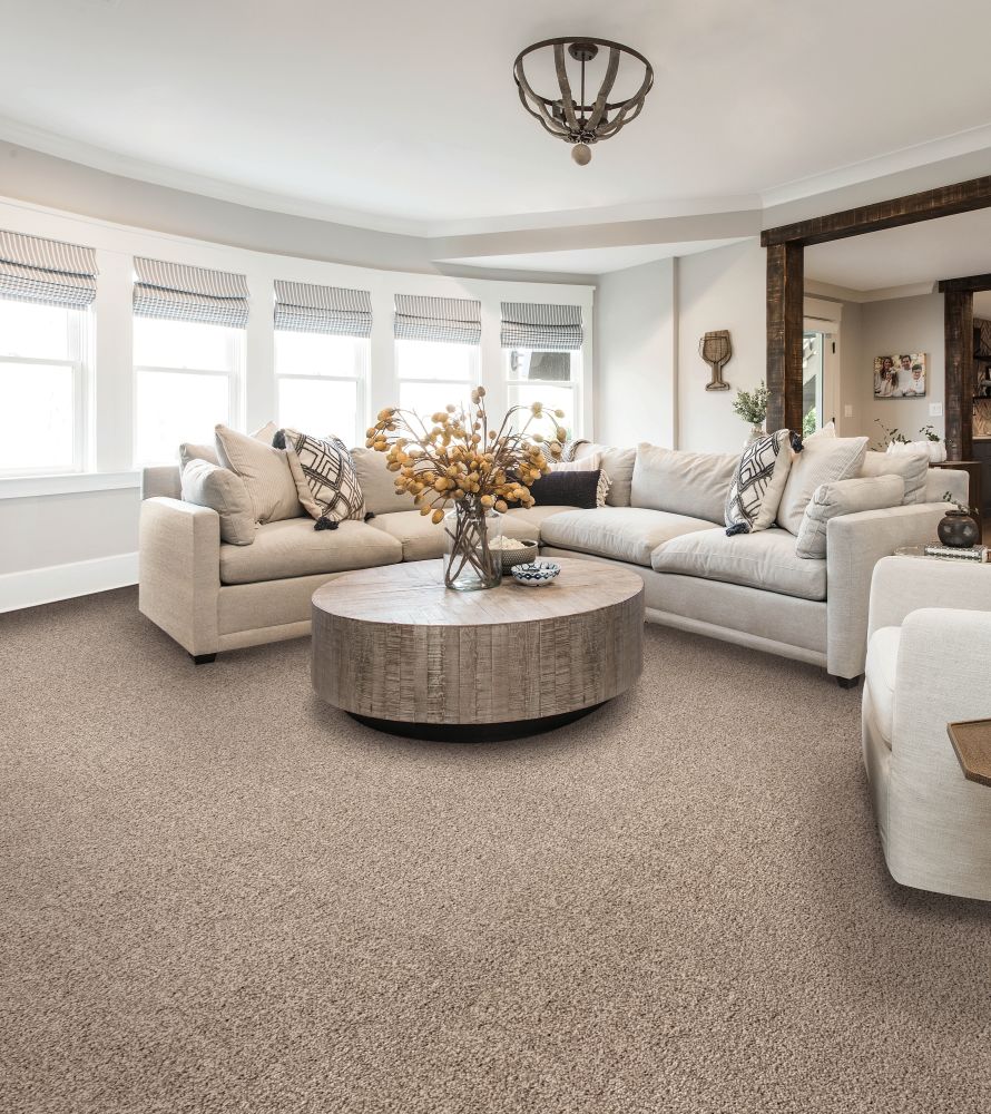 Karastan Smartstrand Silk Enchanted Hearthstone 3N69-9776