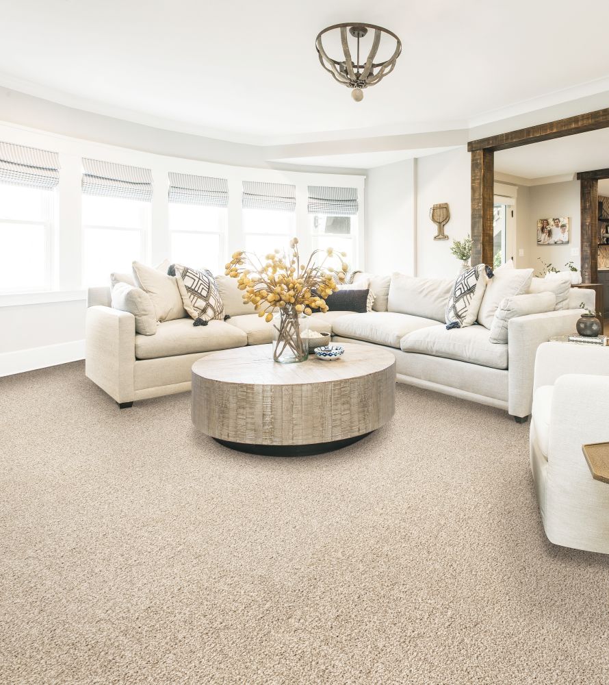 Karastan Smartstrand Instinctive Elegance Fine White 43806-9715