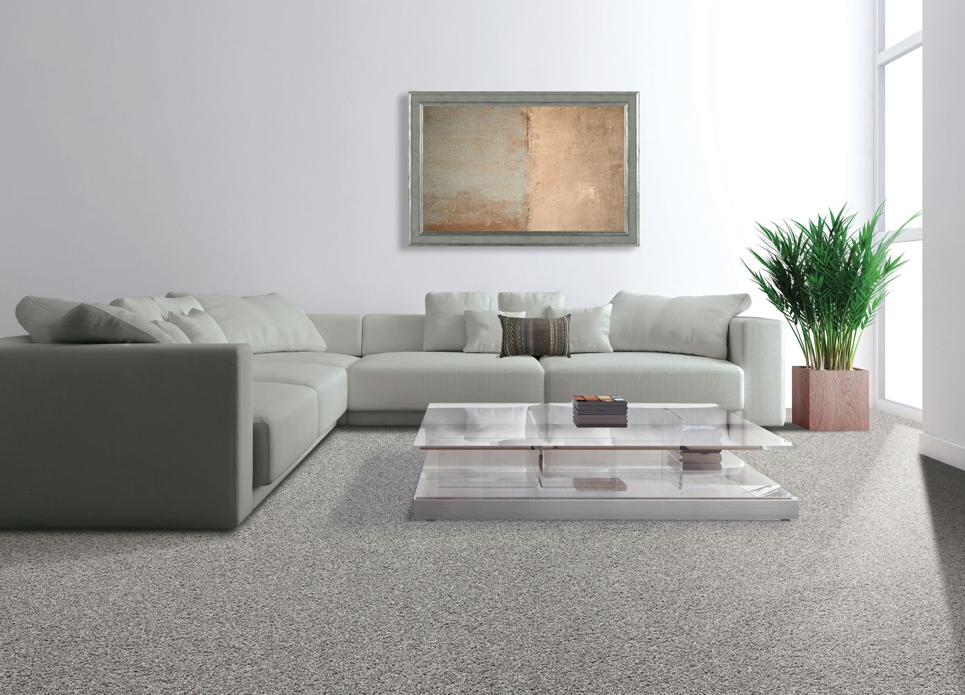 Portico Everstrand Rejuvenate Silver Dollar BP55C-938